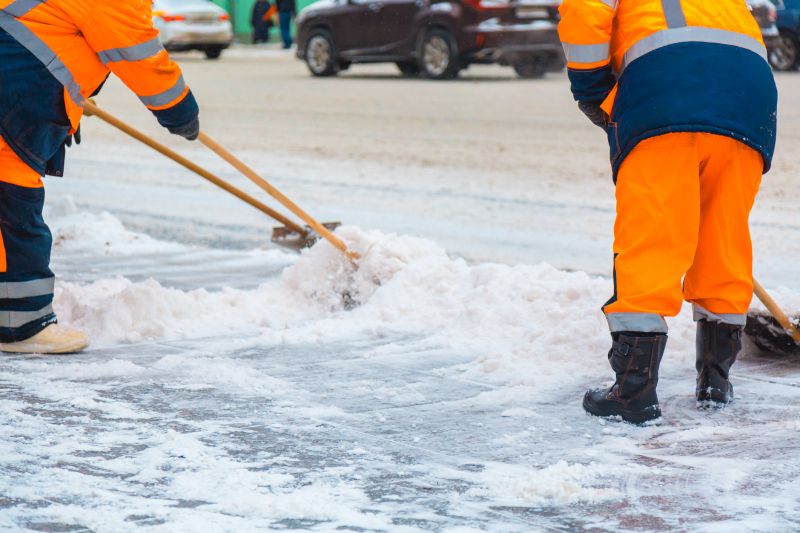 Local Snow Shoveling pros at work